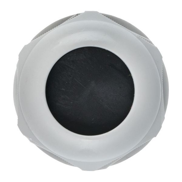 Сальник PG25 IP54 (100 шт) d отв. 31 мм / d провод. 16-21 мм EKF PROxima