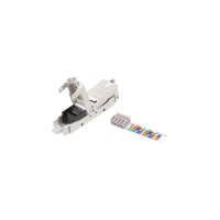 52963783