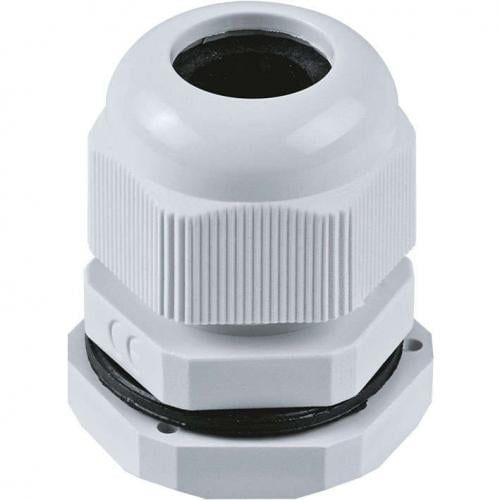 Изображение загружено из каталога картинок. //***VAD***//