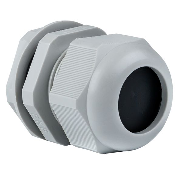 Сальник PG25 IP54 (100 шт) d отв. 31 мм / d провод. 16-21 мм EKF PROxima