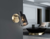 Настенно-потолочный спот Ambrella light TRADITIONAL TR8667