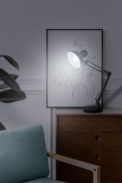 LH81 Патрон Е27, 250V, карболит, латунь, черный, размер 38*58 мм