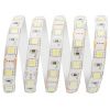 Светодиодная влагозащищенная лента Apeyron 14,4W/m 60Led/m 5050SMD холодный белый 1M 259BL