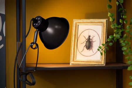 Настольная лампа Lucide Moys 45987/01/30